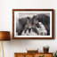 Chevaux sauvages - Photographie avec cadre photo-2049960916-2049960919