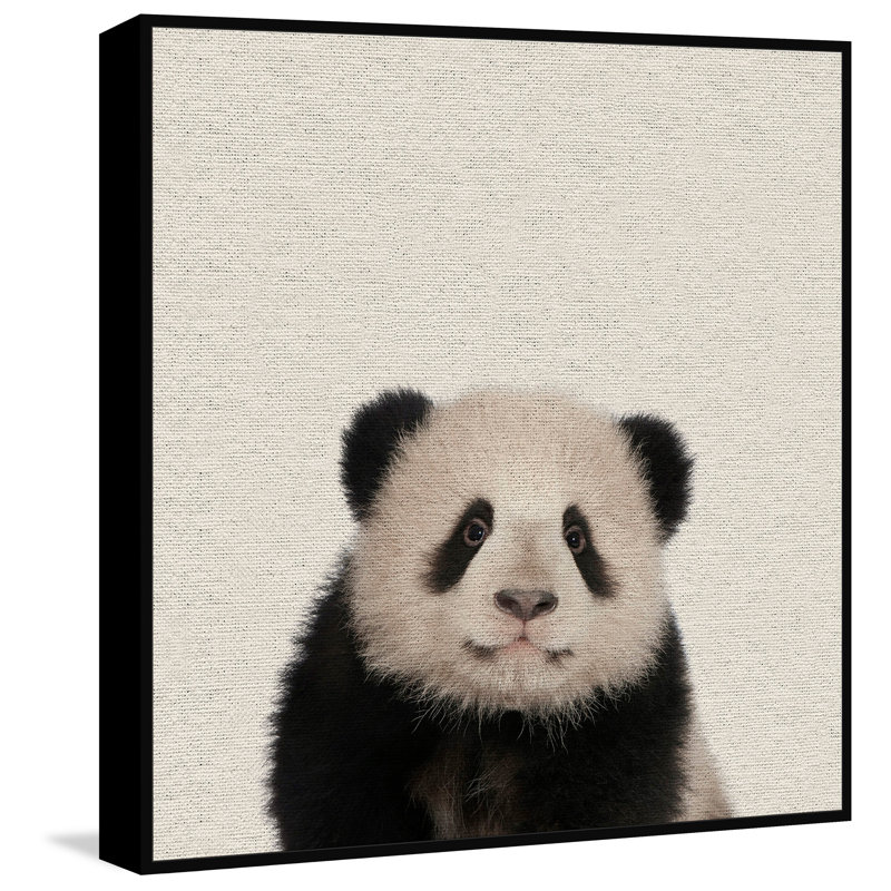 Huggable Panda - Floater Frame Print on Canvas, 102 cm H x 102 cm W x 4 cm D