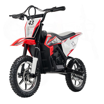 Les enfants roulent sur une moto électrique 36V avec DEL pour les enfants de 14 ans et plus