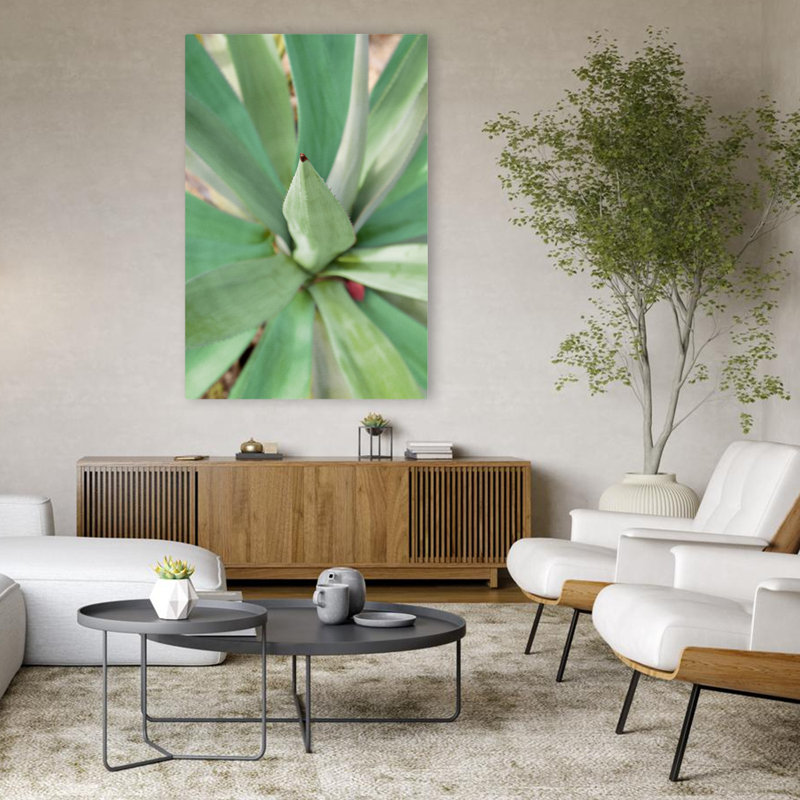 Agave succulent # 2 - art floral et nature morte, feuilles, art, H 48 po x l 32 po
