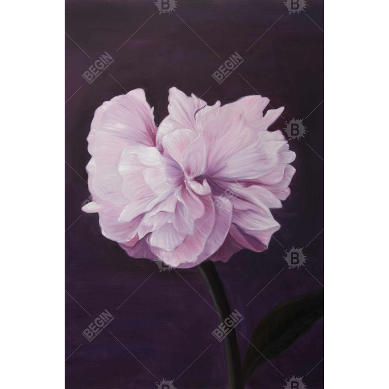 «Beautiful Purple Flower» sur