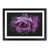 Black Framed selected