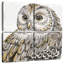 Brampt Beautiful Owls I-109098218