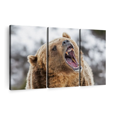" Roaring Grizzly Bear "