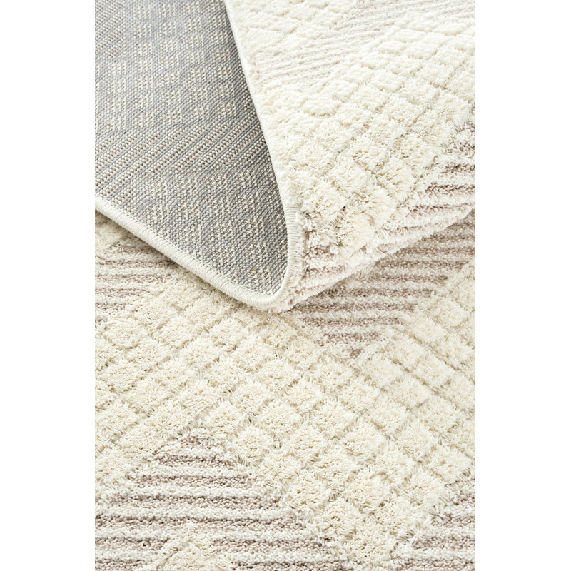 Renlie Machine Made Indoor / Outdoor Area Rug, Rectangle 5'3" x 7'6.6"