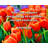 Fleur De Lis Living Gallery Wrapped Canvas By Stendhal: "One can acquire everything in solitude except char