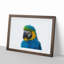 Macaw Parrot - Framed Print-55577500-55577504