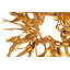 Cast Root Wall Decor, Gold Leaf