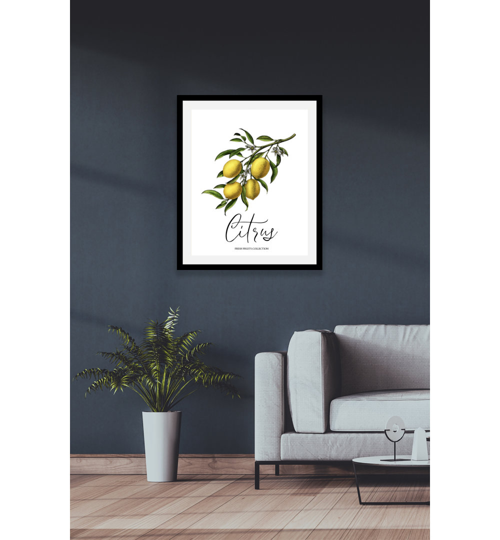 Citrus - Picture Frame Graphic Art