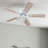 Briteny 42'' Ceiling Fan with Light Kit-953916487