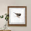 Mixed signaux IV-reproduction d’art sur papier encadrée-925224768-925224769