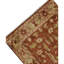 Oriental Area Rug in Cream