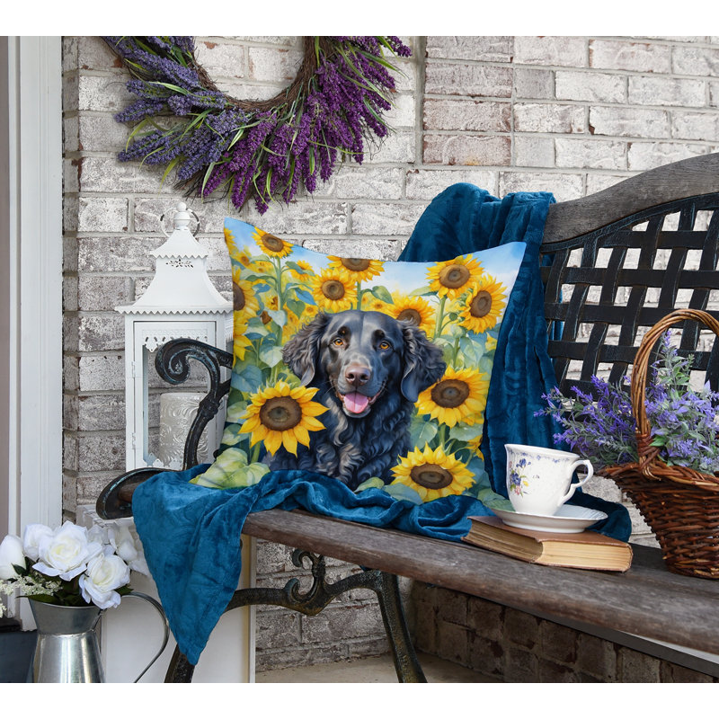 Other/No Pattern Outdoor Throw Pillow, 18"H x 18"W