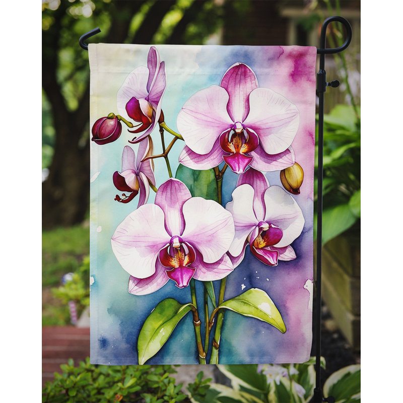 Orchidées paphiopedilum, drapeau du jardin, Orchidées phalaenopsis