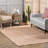 Delasandro Hand Braided Jute/Cotton Beige/Brown Area Rug-1654303378