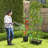 Preethy Planter Box