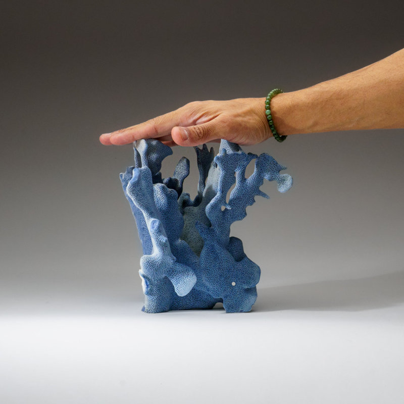 Genuine Blue Ridge Coral (8", 3 Lbs)