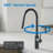 Parma Cafe Single Handle Pull Down Sprayer Kitchen Faucet-69955662