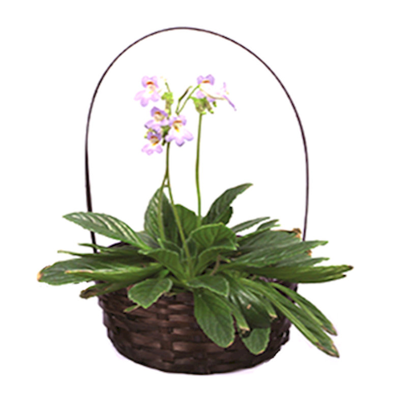 Panier en bois massif, Brun