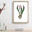 Autumn Crocus Flowers Illustration - Framed Print-55456876-55456879
