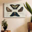 «Crackled Butterflies IV», toile tendue avec châssis-80238499