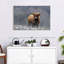 Vache Highland Brampt-108816137