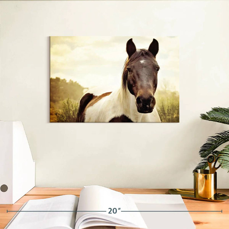 Brampt Horse Pasture, H 8 po x l 12 po