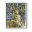 Chêne, reproduction encadrée - bois massif-198712178-198712184