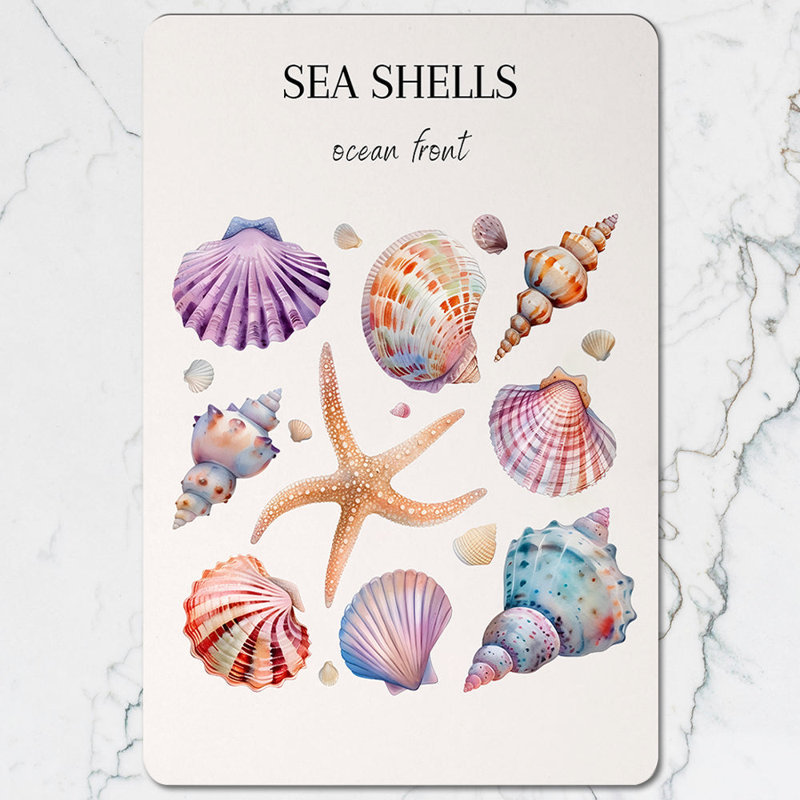 Sea Shells Placemat Coaster Set Art Print Limited