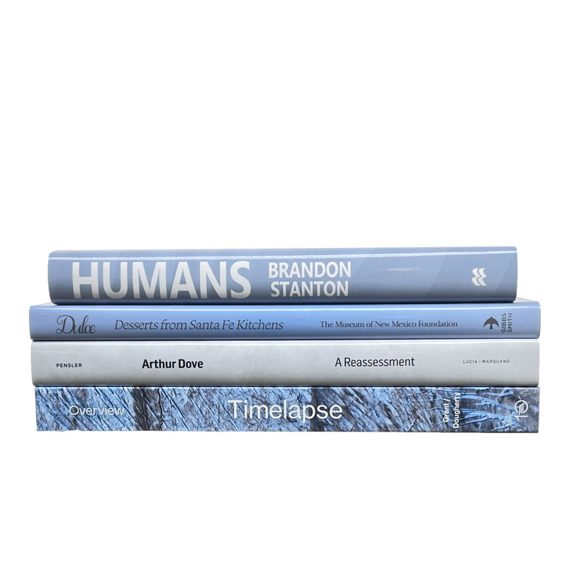 Ruken - 4 livres bleus