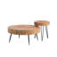 Ensemble de tables basses 2 pièces Ciriclio