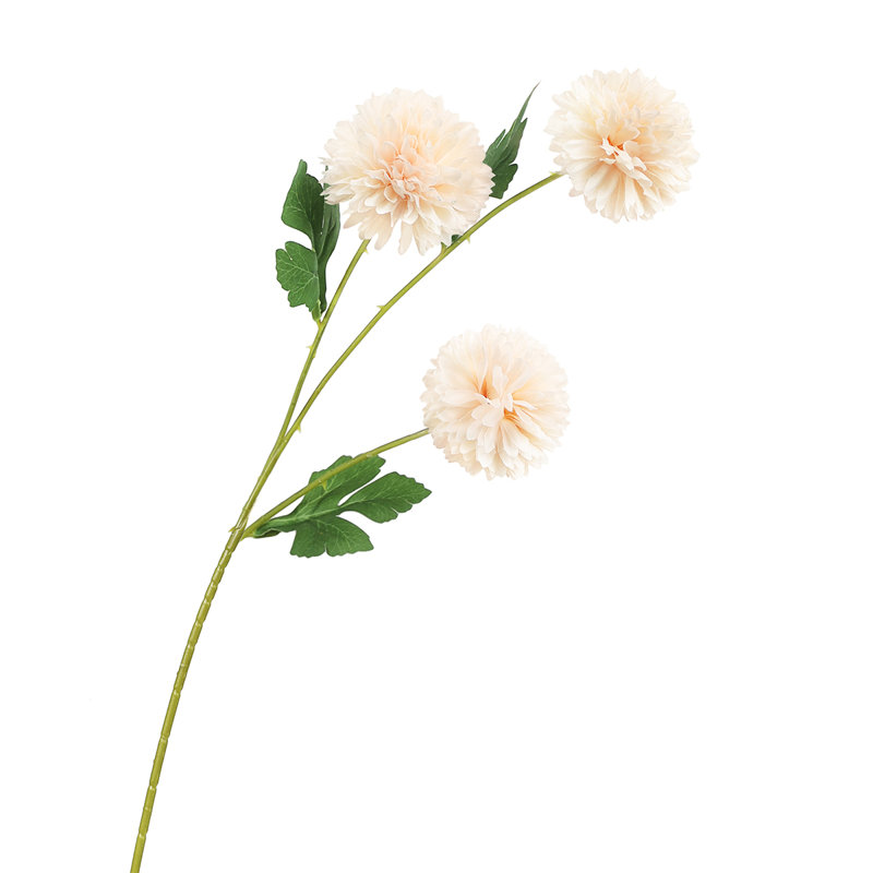Ball Mum Pom Pom, Pêche