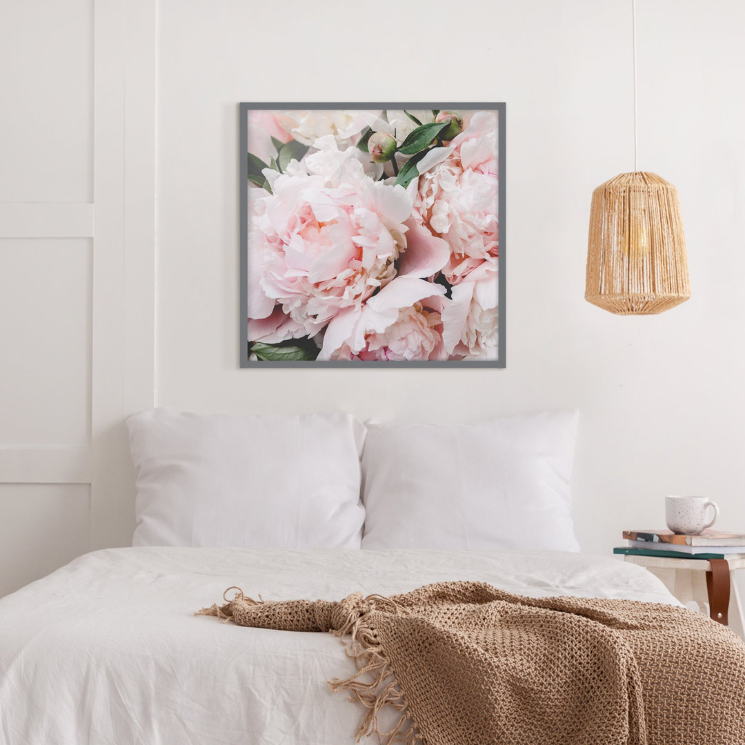 Gerahmtes Poster Peonies Light Pink