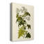 Olive Greenery VI - peinture sur toile tendue-707727935