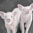 Two Little Piglets - Rustic Round Outdoor Area Rug for Decor