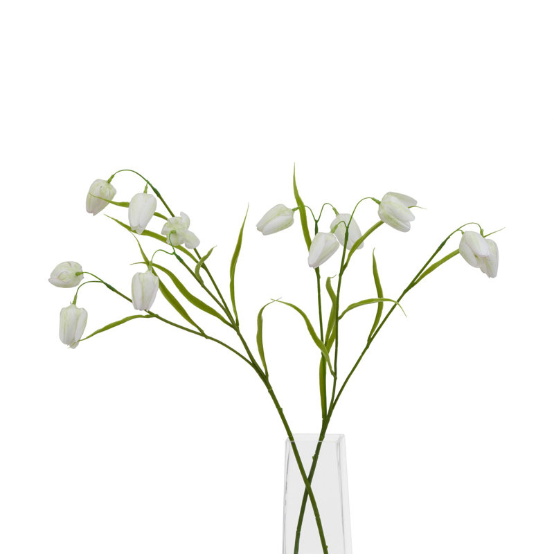Anastasija Arrangement, White