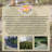 Dewitt Shade Cloth and Cover