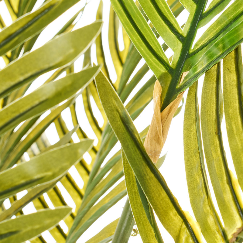 Faux Dictyosperma Tree in Pot, 114cm H x 45cm W x 45cm D