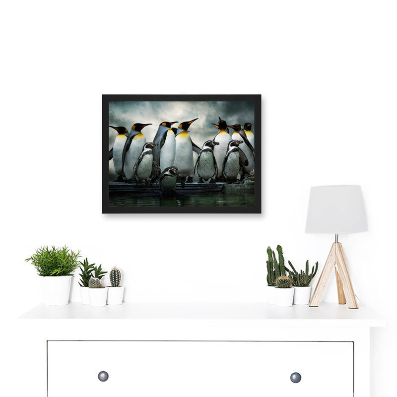 Emperor Penguin Birds Antarctic - Single Picture Frame Print