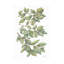 Art mural sur toile «bol Leslie Trimbach Bird on Branch II»-101099028