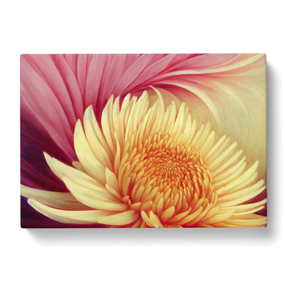 Extravagant Chrysanthemum Flower - Wrapped Canvas