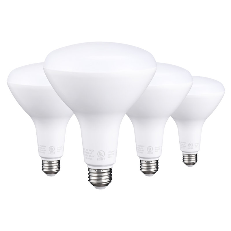 Ampoule à DEL à intensité variable BR40, 17 W (100 W Eqv), 1400 lumens, culot E26