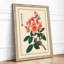 Flowering Branch Study Botanical - Print-931139574-931139572