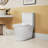 Ceramic Toilet, 1.1/1.6 Elongated, Comfort Height, White, & , Robust Close Seat T039wt One , Firmly