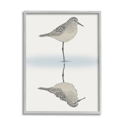 " Soothing Sandpiper Bird Standing Ocean Shoreline Reflection " by Ziwei Li