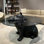 Table basse italienne minimaliste moderne