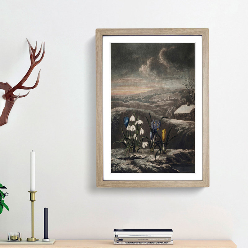 The Snowdrop Flowers by R.J. Thornton - Picture Frame Painting Print, Oak Framed, 36cm H x 27cm W x 2cm D
