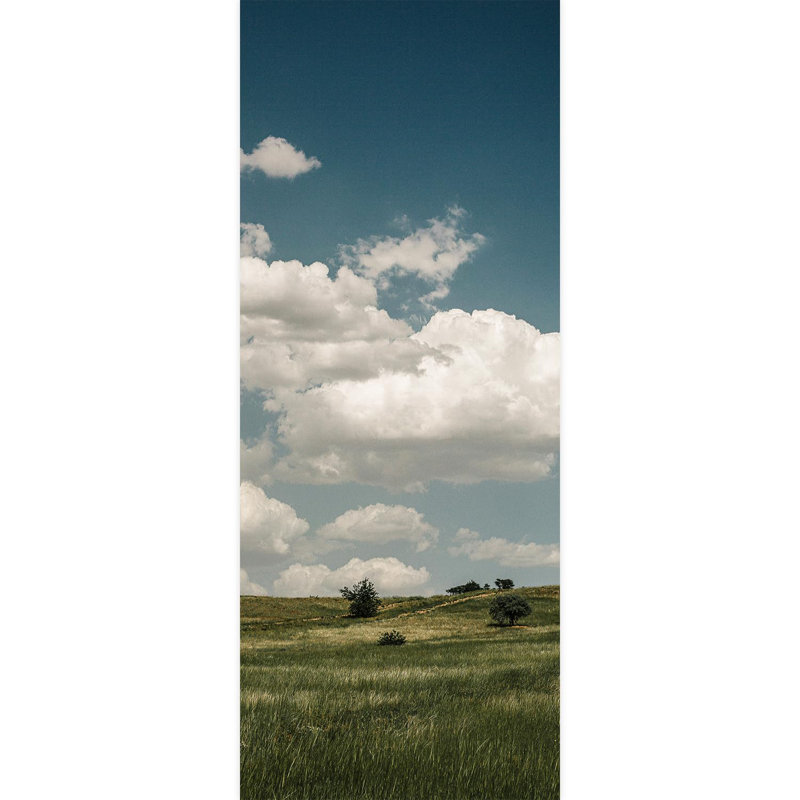 Peel & Stick Border, 120" L x 48" W