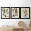 Fern Botanical IV - Ensemble de 3 peintures sur toile encadrées-131489271-131489276