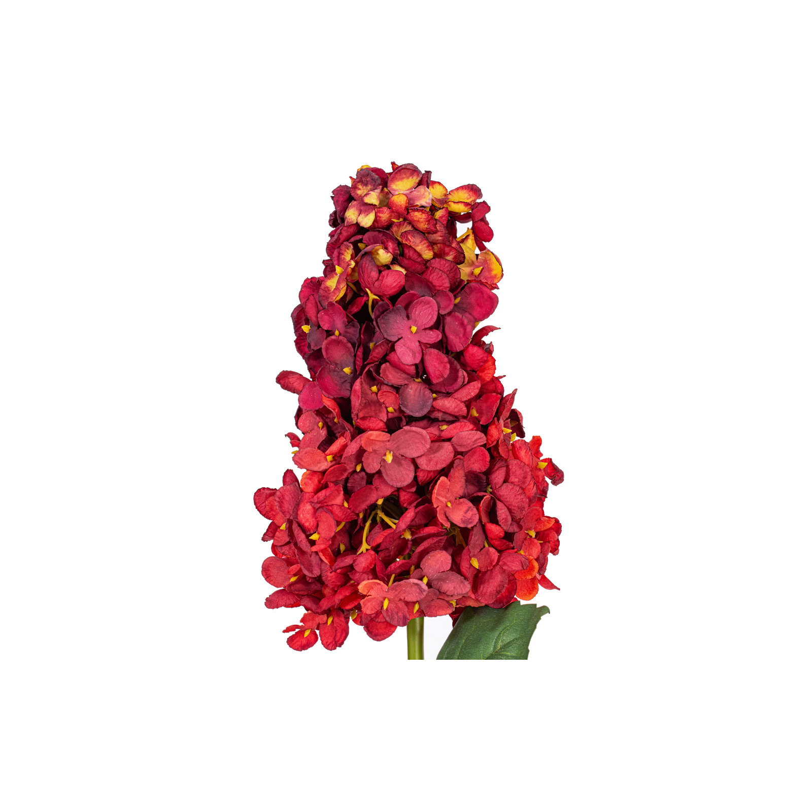 Hydrangea Stem, Burgundy